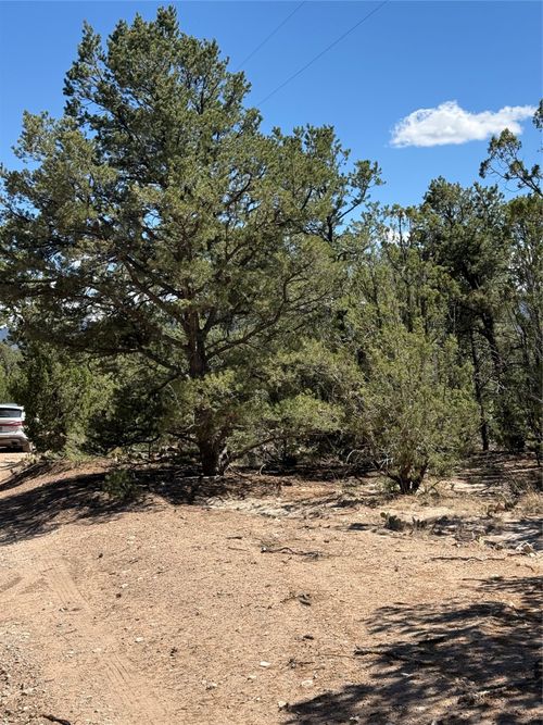 174 Hidden Valley Ranch Rd, Ilfeld, NM, 87538-7704 | Card Image