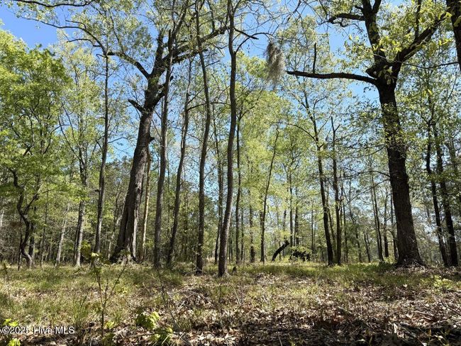 48 Sunset Point Rd, Home with 0 bedrooms, 0 bathrooms and null parking in Belhaven NC | Image 14
