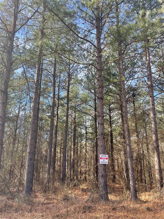 Land in Broken Bow 3