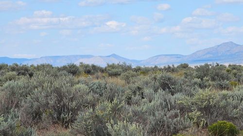 25-RGE Lots 14 Block 589, Rio Communities, NM, 87002 | Card Image