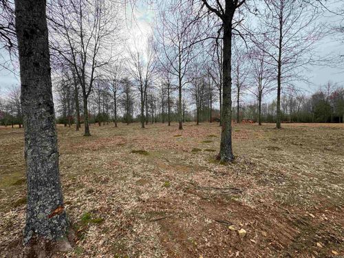 30R River Birch Drive, Guy, AR, 72061 | Card Image