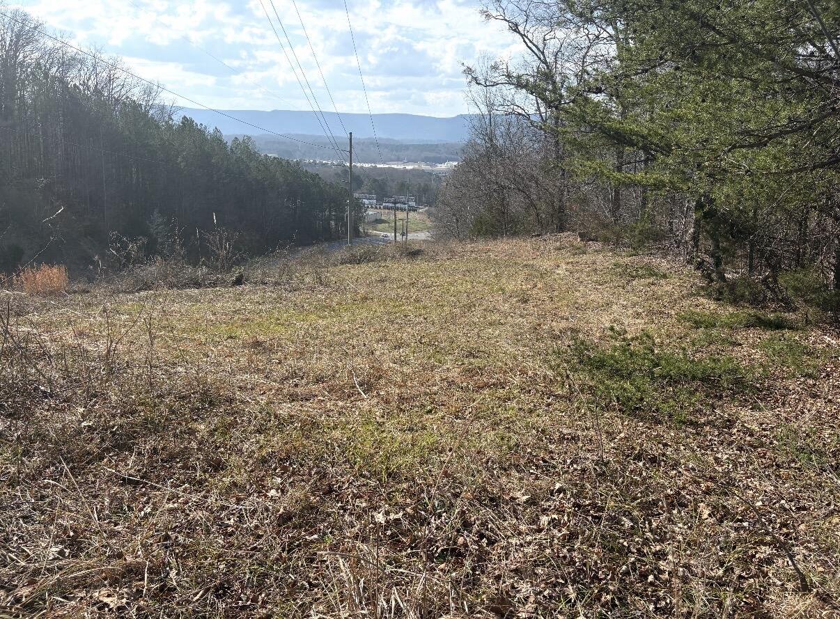 Land in LaFayette 3