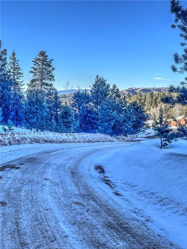 1174 Monarch Dr, Home with 0 bedrooms, 0 bathrooms and null parking in Cripple Creek CO | Image 15