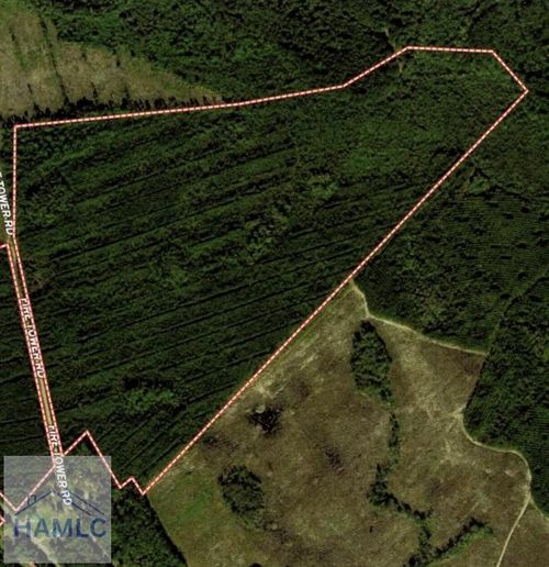 1 Fire Tower Rd Se, Ludowici, GA, 31316-3820 | Card Image