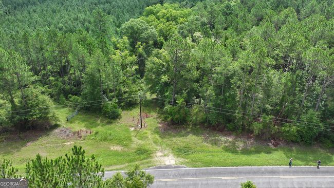 0 Boiling Springs Rd, Home with 0 bedrooms, 0 bathrooms and null parking in Soperton GA | Image 13