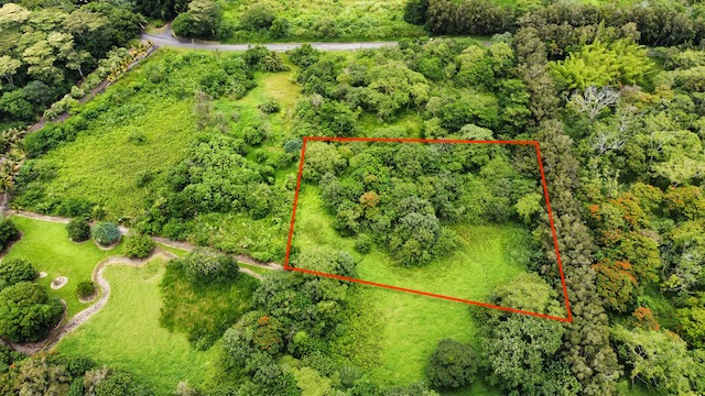 Land in Pahoa 5