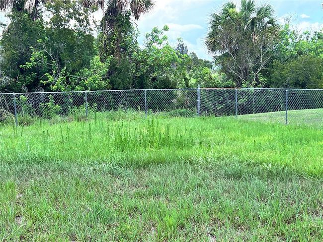 Back Yard | Image 55