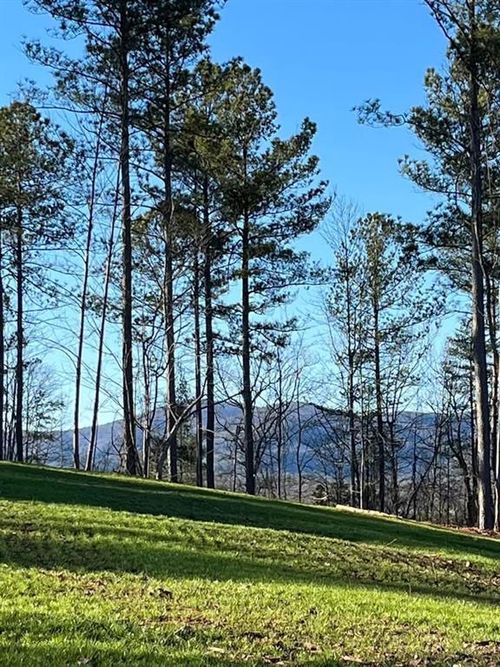 6480 Highway 52 W, Dahlonega, GA, 30533-5069 | Card Image