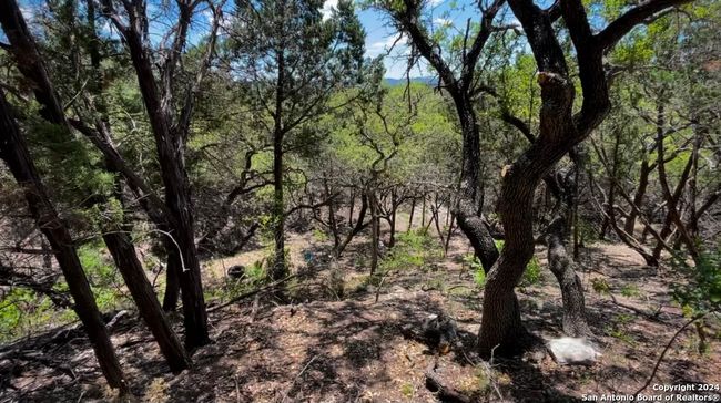 000 Red Byrd Ln, Home with 0 bedrooms, 0 bathrooms and null parking in Pipe Creek TX | Image 8