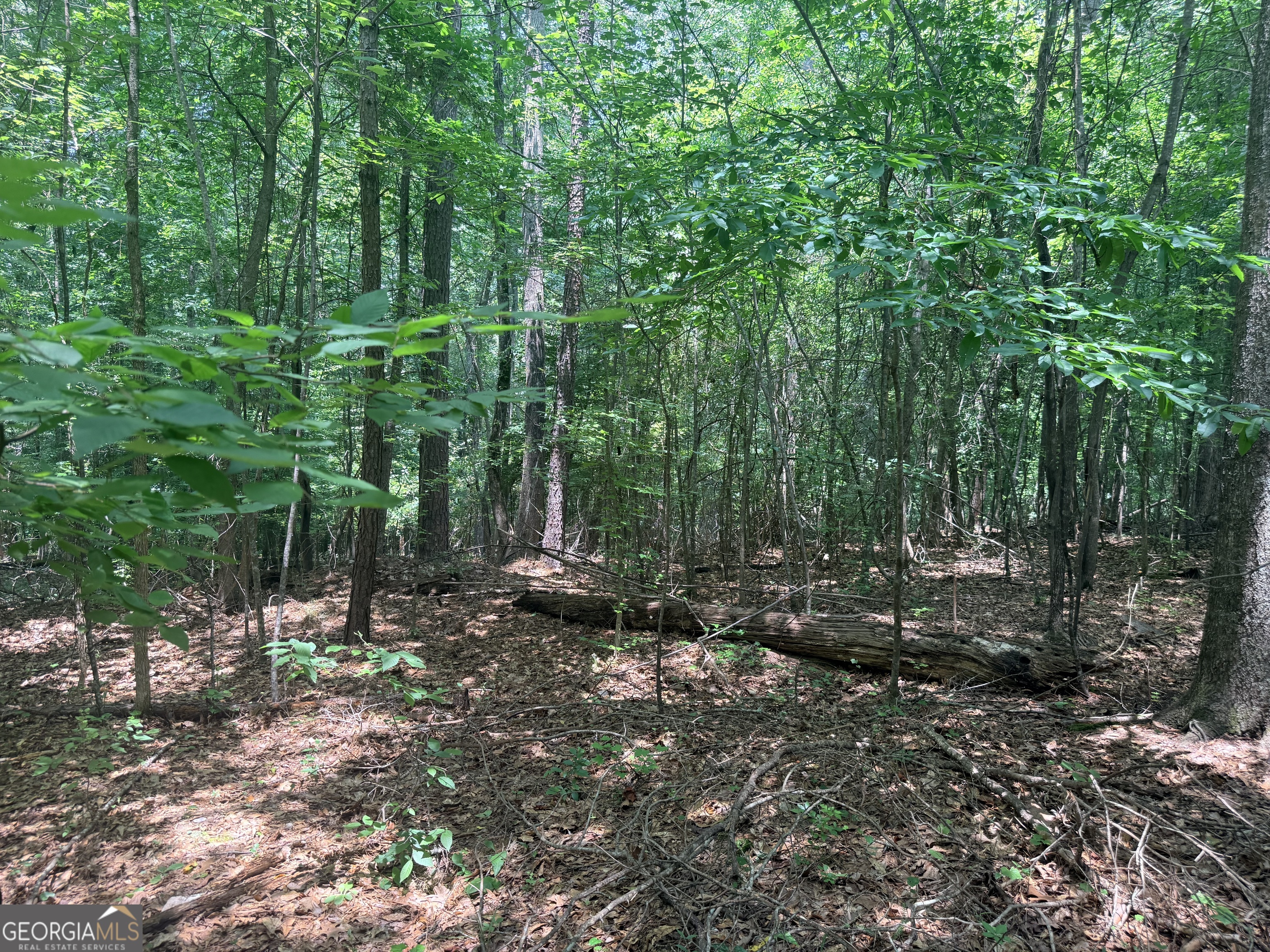 Land in Snellville 5