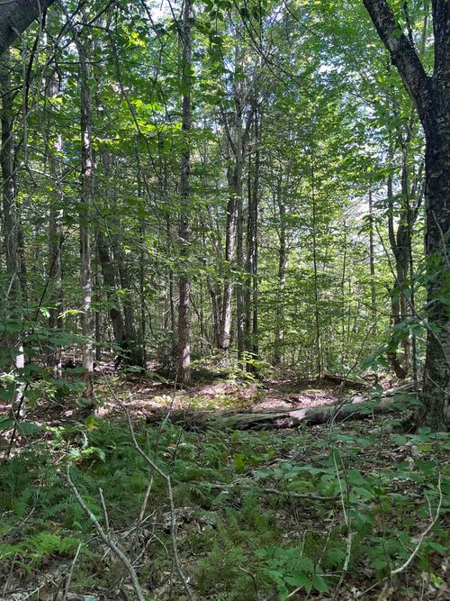 map-11-lot-69-1- Faxon Hill Road, Washington, NH, 03280 | Card Image