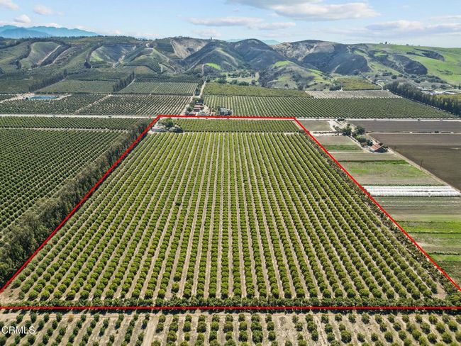 4-web-or-mls-DJI_0946 copy | Image 4