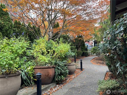 apt-c104-1311 12th Ave S, Seattle, WA, 98144-3471 | Card Image