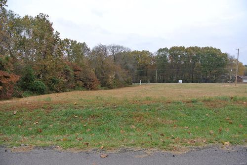0 Lot 19 Circle Drive, St Mary, MO, 63673 | Card Image