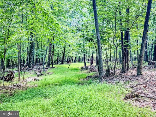 220 Notch Rd, Home with 0 bedrooms, 0 bathrooms and null parking in DUNCANNON PA | Image 11