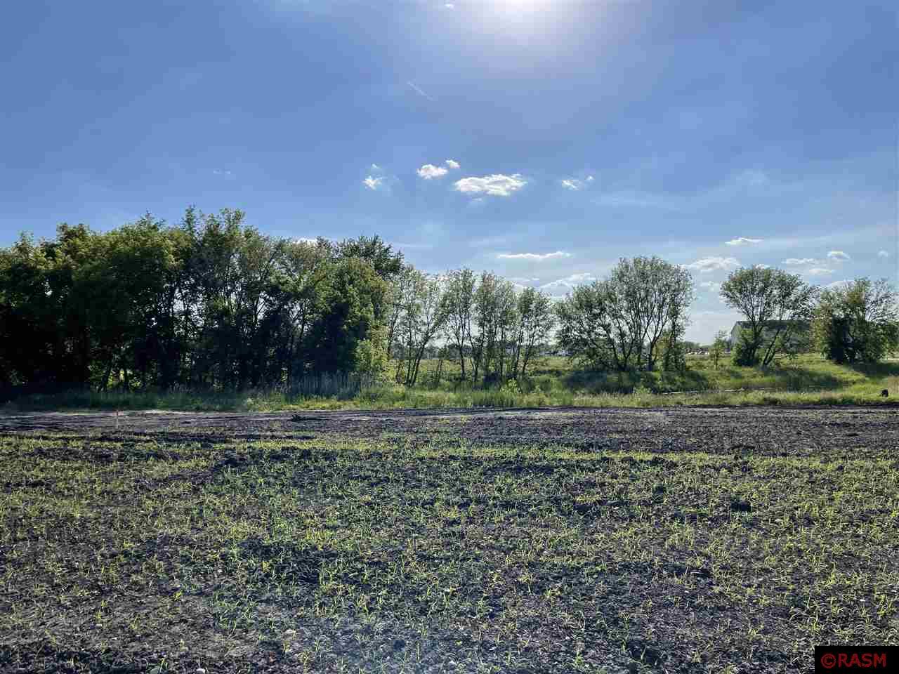 Indigo Trl, Mankato, MN 56001