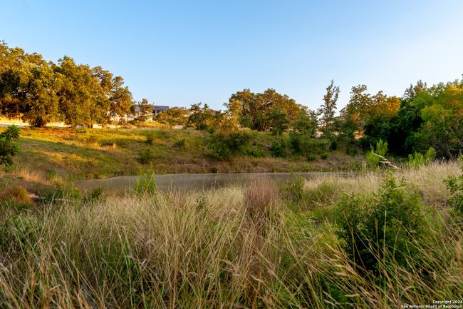 Pond view. | Image 11