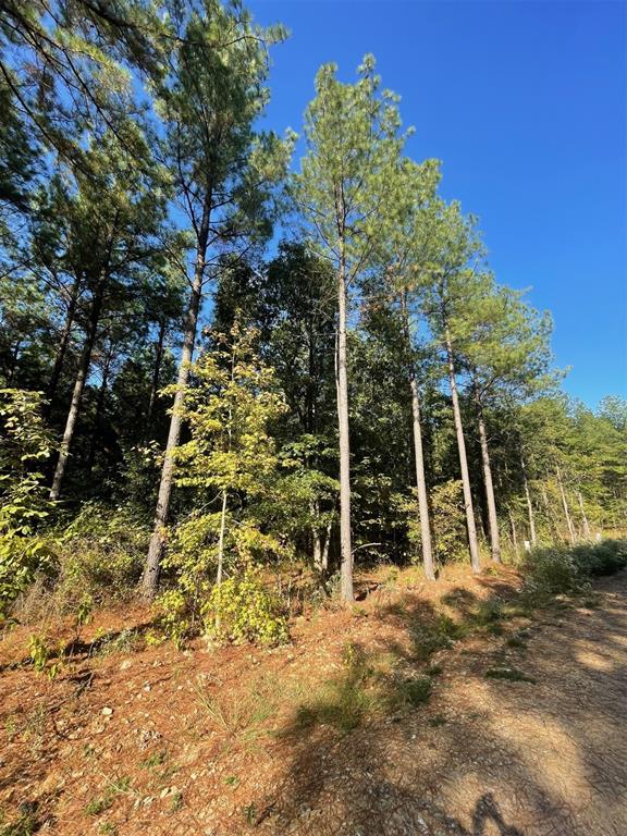 Land in Broken Bow 2