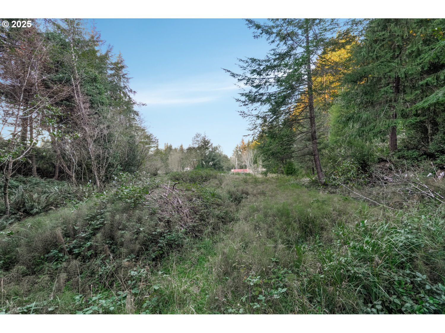 Land in CoosBay 4