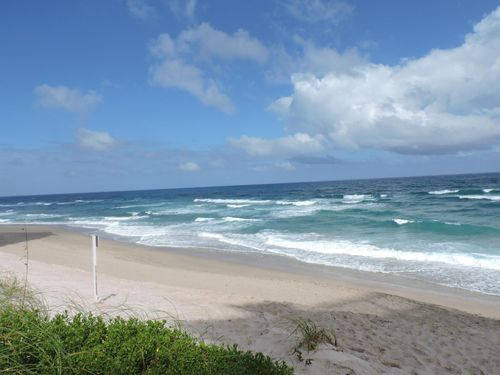 apt-2e-5380 N Ocean Dr, Riviera Beach, FL, 33404-2531 | Card Image