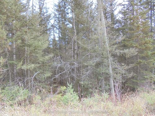 6 & 7 Otto Road 1 N/A, Kirkland Lake, ON, P0K1T0 | Card Image