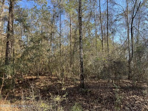 Lot197 W Woodland Drive, Lumberton, MS, 39455 | Card Image