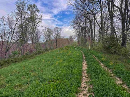 Lot 1 Low Gap Run Rd, Littleton, WV, 26581-7706 | Card Image