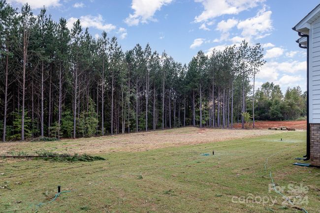 21 - 1336 Sage Pine Cir, House other with 4 bedrooms, 4 bathrooms and null parking in Clover SC | Image 26