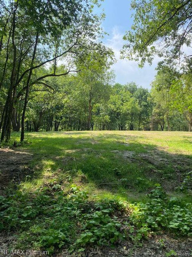 6 Sleaford Parcel 6   2.1 Acres Road, Home with 0 bedrooms, 0 bathrooms and null parking in Howell Township MI | Image 27