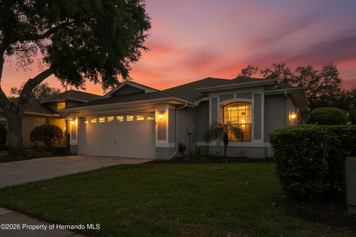 14466 Tamarind Loop, SPRING HILL, FL, 34609-0343 | Card Image