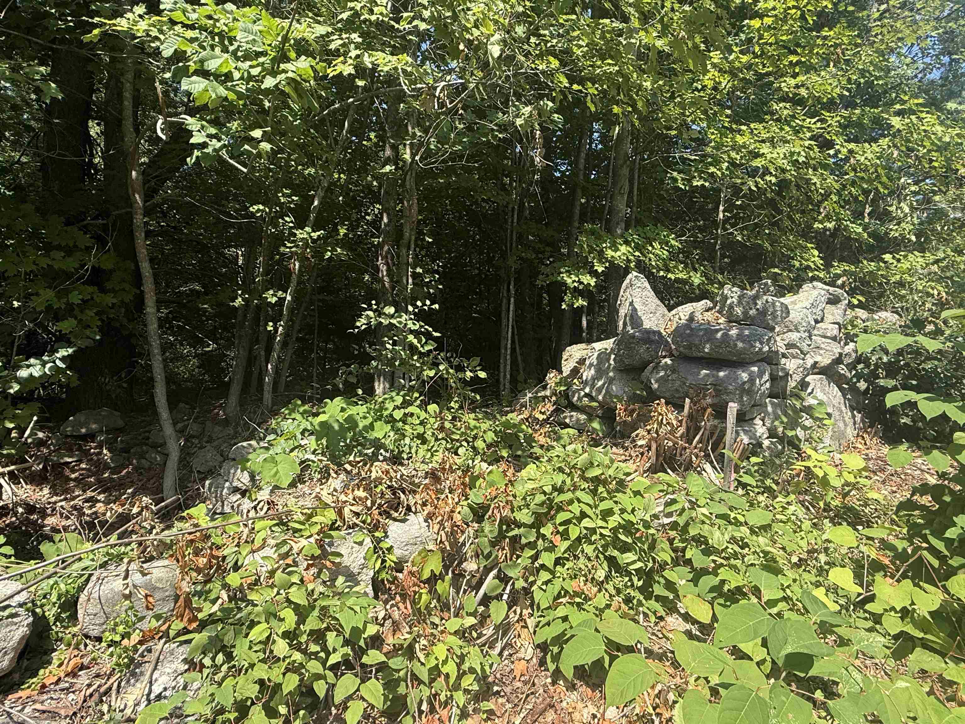 Land in Milford 3