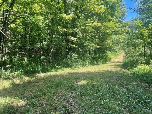 0 Meirs Rd, Williamstown, NY, 13493 | Card Image