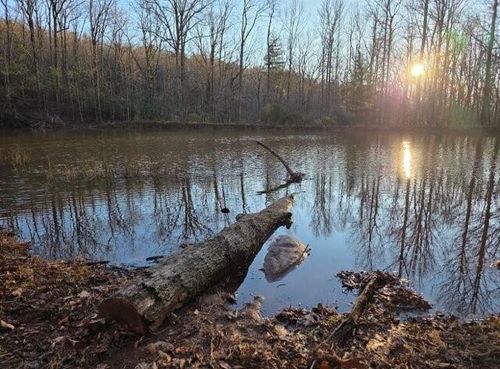 100 Hidden Hollow Ln, Dahlonega, GA, 30533 | Card Image