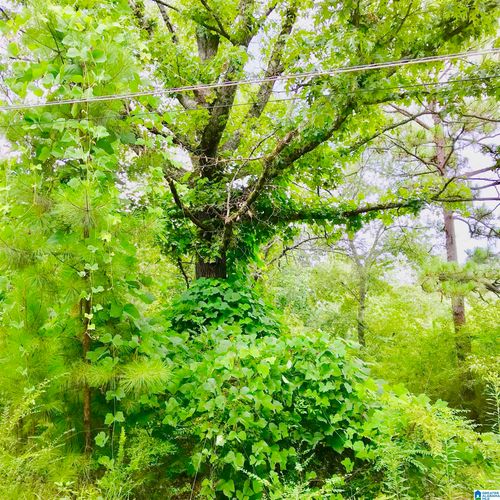 lot-1-and-lot-2-14548 Highway 280, CHELSEA, AL, 35043 | Card Image