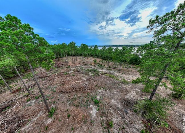 10 Fm 83, Home with 0 bedrooms, 0 bathrooms and null parking in Broaddus TX | Image 19