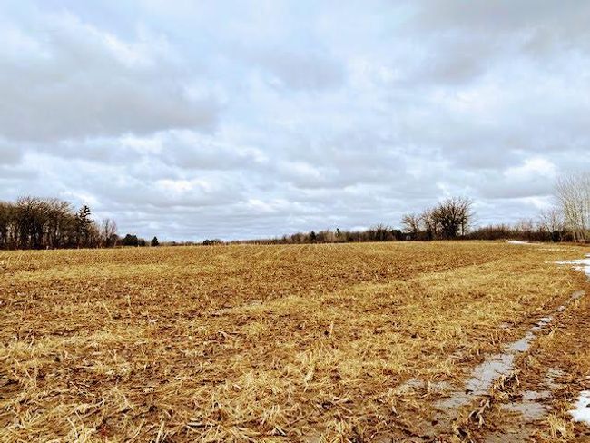 23 115 Th Ave, Home with 0 bedrooms, 0 bathrooms and null parking in BRAHAM MN | Image 8