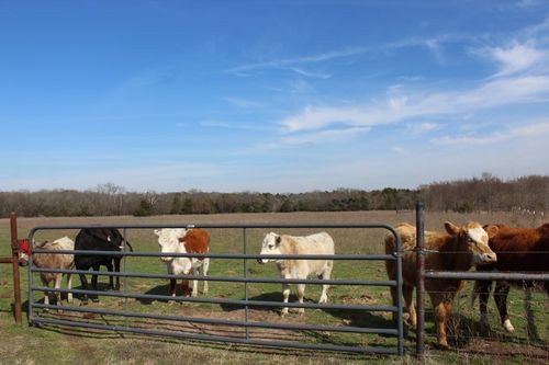 2488 Rs County Road 1525, Point, TX, 75472-4934 | Card Image