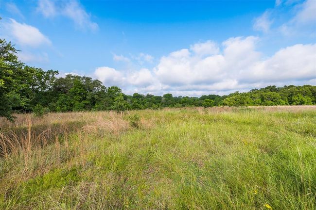 1338 N State Highway 237, Home with 0 bedrooms, 0 bathrooms and null parking in Round Top TX | Image 4