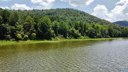 148 acres County Road 21, Ashville, AL, 35953 | Card Image