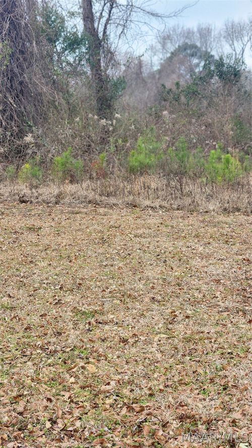 000 Bibb Street, Tuskegee, AL, 36088 | Card Image