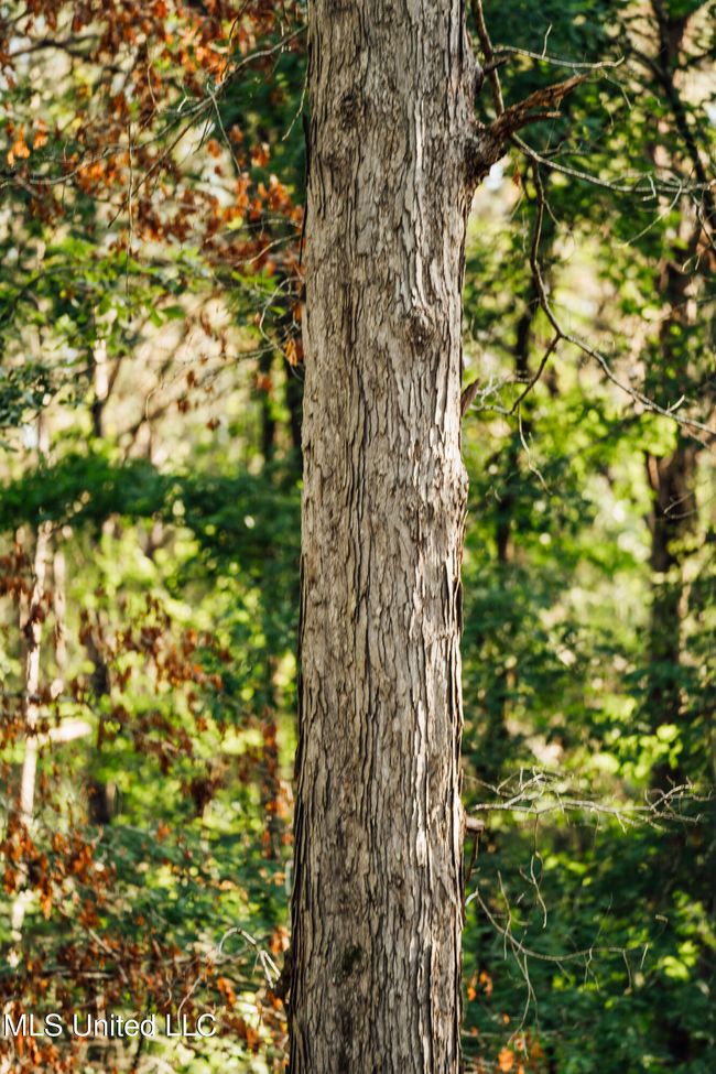 JG Puckett Cabin Pics-53 | Image 64
