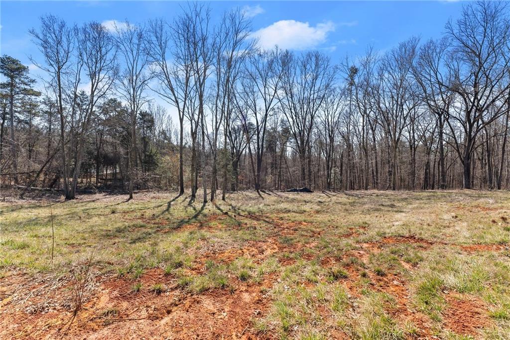 Land in Carnesville 4