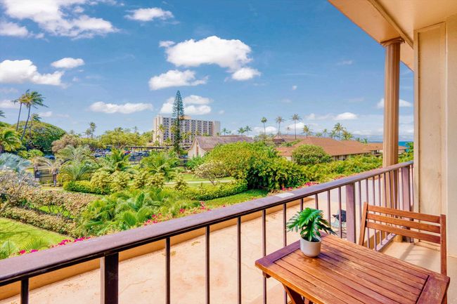302 - 45 Kai Ala Dr, Condo with 1 bedrooms, 1 bathrooms and null parking in Lahaina HI | Image 28
