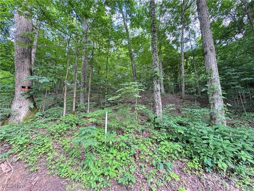 50530 Wargo Road, Caldwell, OH, 43724 | Card Image