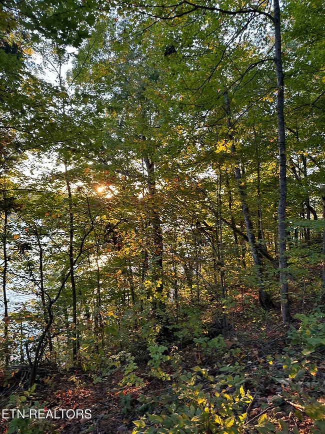 778 Russell Bros Rd, Home with 0 bedrooms, 0 bathrooms and null parking in Sharps Chapel TN | Image 19