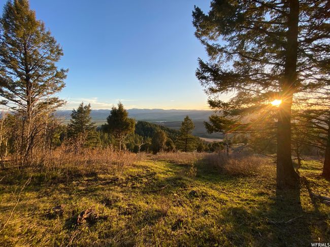 View of mother earth's splendor with a mountain view | Image 22