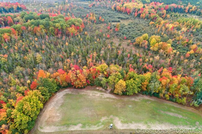 2697 176 Th Ave, House other with 5 bedrooms, 2 bathrooms and null parking in Walkerville MI | Image 13