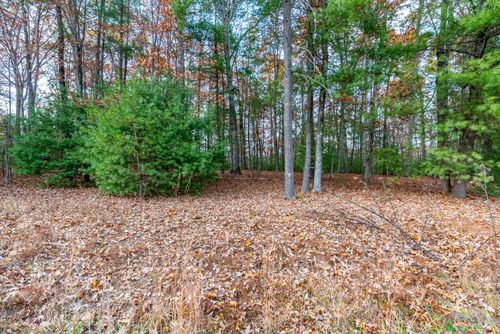 0 Blue Sky Ct, Monroe, VA, 24574 | Card Image