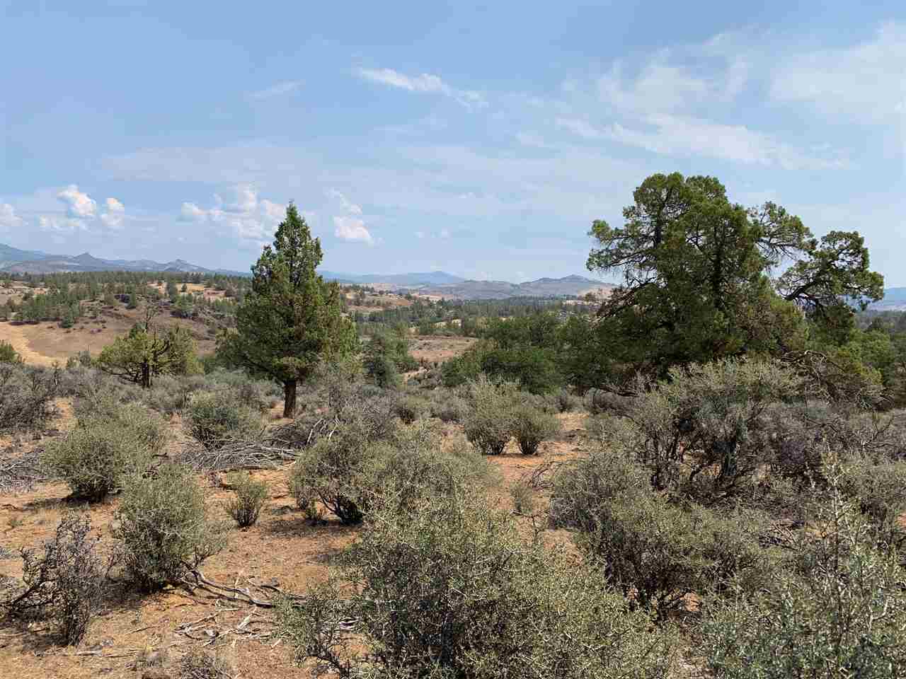 Land in Montague 5