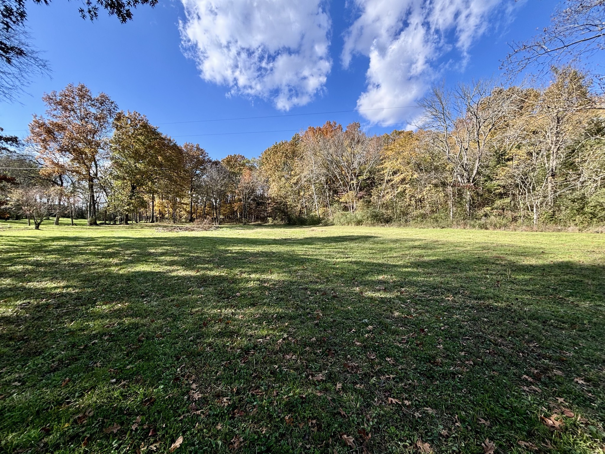Land in Spring Hill 2
